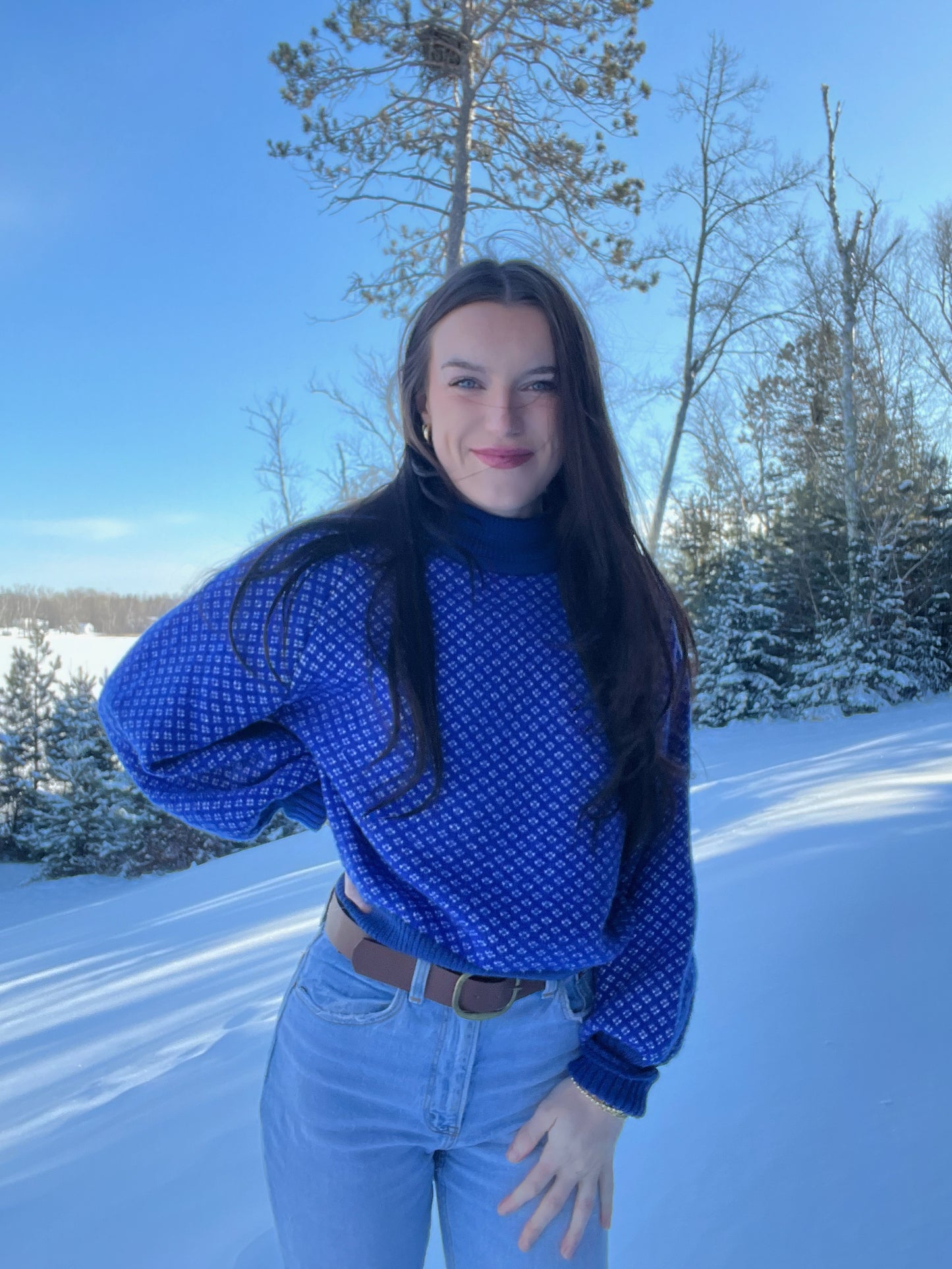 Blueberry sweater